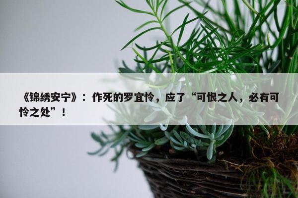 《锦绣安宁》：作死的罗宜怜，应了“可恨之人，必有可怜之处”！