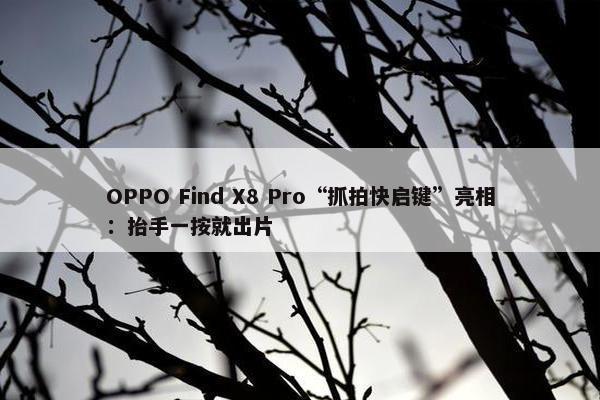 OPPO Find X8 Pro“抓拍快启键”亮相：抬手一按就出片