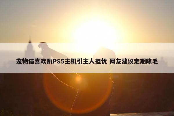 宠物猫喜欢趴PS5主机引主人担忧 网友建议定期除毛