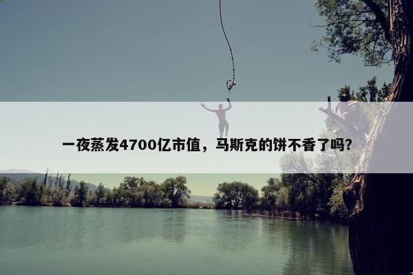 一夜蒸发4700亿市值，马斯克的饼不香了吗？