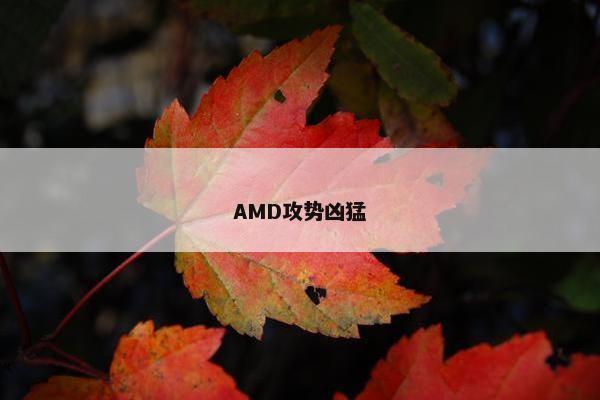 AMD攻势凶猛