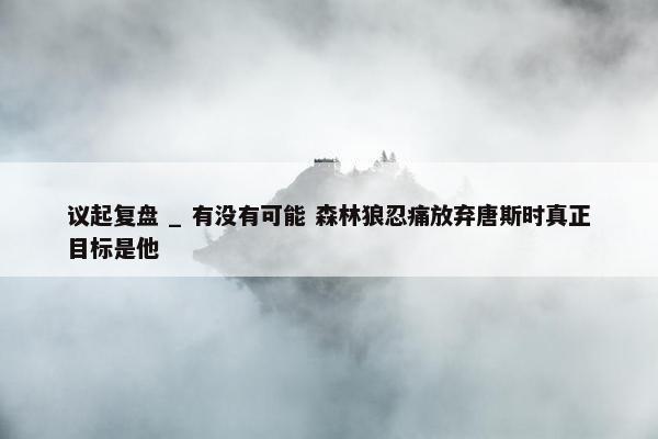 议起复盘 _ 有没有可能 森林狼忍痛放弃唐斯时真正目标是他