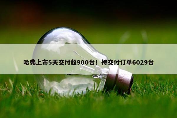 哈弗上市5天交付超900台！待交付订单6029台