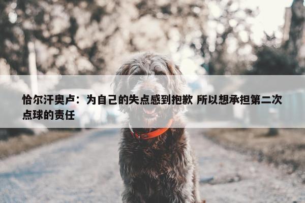 恰尔汗奥卢：为自己的失点感到抱歉 所以想承担第二次点球的责任