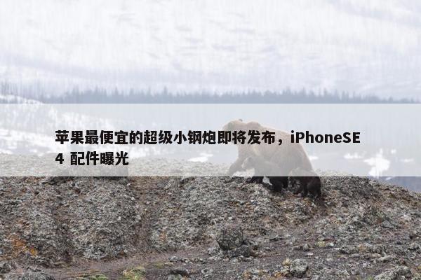 苹果最便宜的超级小钢炮即将发布，iPhoneSE 4 配件曝光