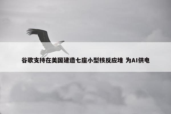 谷歌支持在美国建造七座小型核反应堆 为AI供电