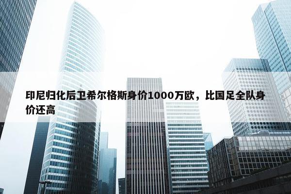 印尼归化后卫希尔格斯身价1000万欧，比国足全队身价还高