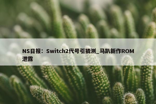 NS日报：Switch2代号引猜测_马趴新作ROM泄露