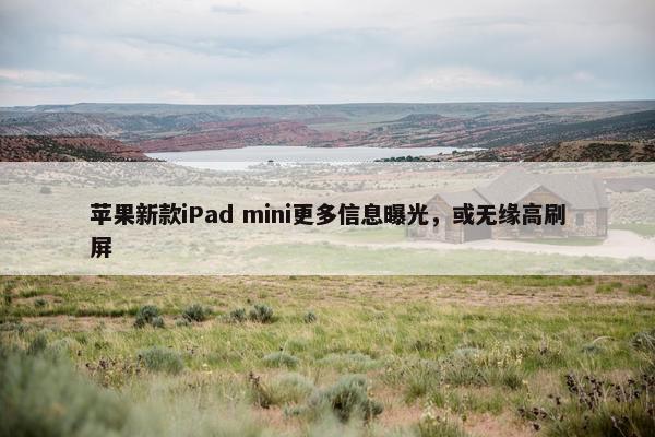 苹果新款iPad mini更多信息曝光，或无缘高刷屏