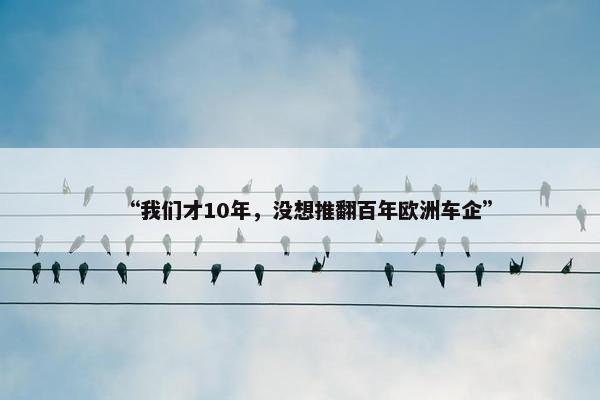 “我们才10年，没想推翻百年欧洲车企”