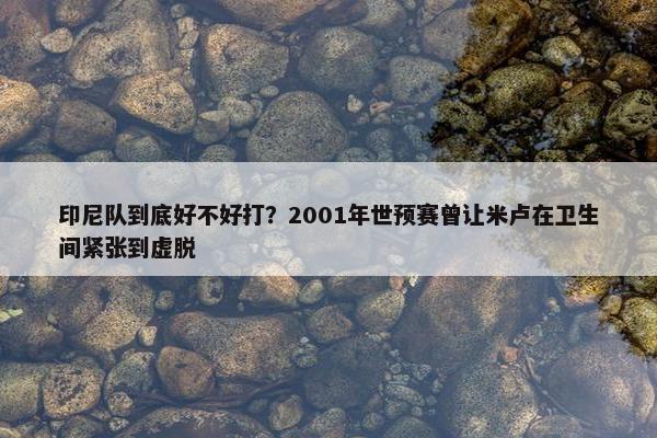 印尼队到底好不好打？2001年世预赛曾让米卢在卫生间紧张到虚脱