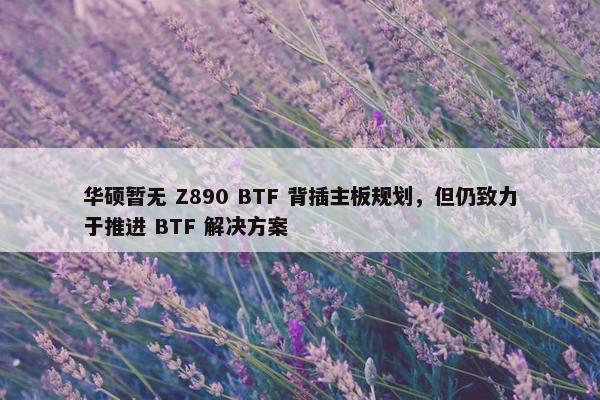 华硕暂无 Z890 BTF 背插主板规划，但仍致力于推进 BTF 解决方案