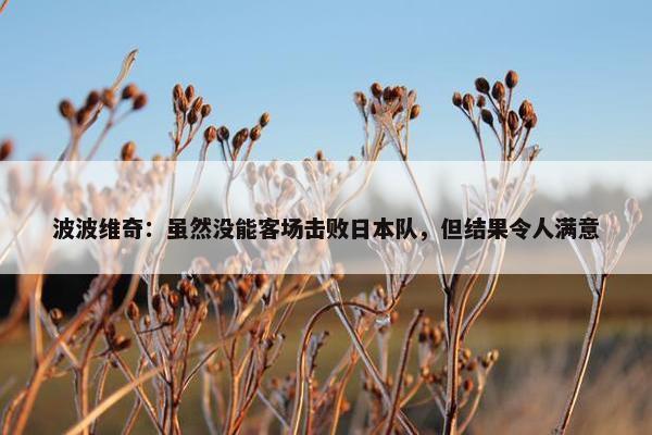 波波维奇：虽然没能客场击败日本队，但结果令人满意