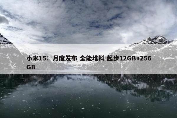 小米15：月度发布 全能堆料 起步12GB+256GB