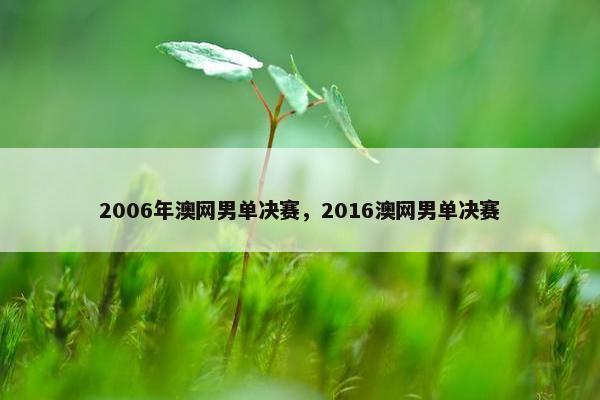 2006年澳网男单决赛，2016澳网男单决赛