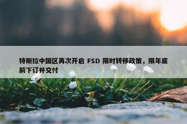 特斯拉中国区再次开启 FSD 限时转移政策，限年底前下订并交付