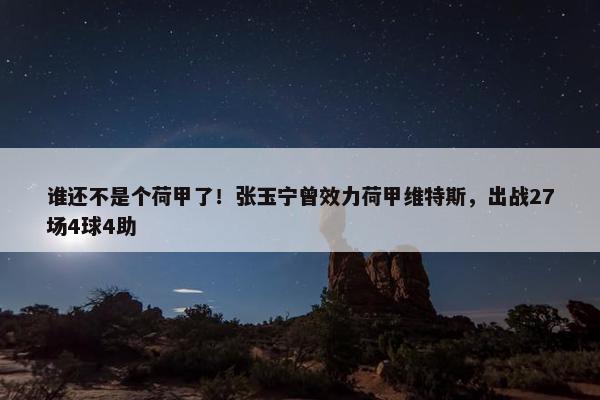 谁还不是个荷甲了！张玉宁曾效力荷甲维特斯，出战27场4球4助