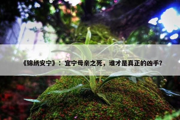 《锦绣安宁》：宜宁母亲之死，谁才是真正的凶手？