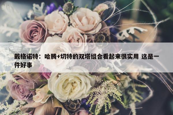 戴格诺特：哈腾+切特的双塔组合看起来很实用 这是一件好事