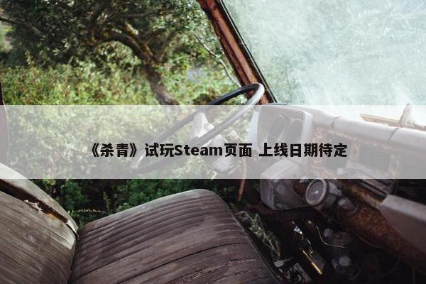 《杀青》试玩Steam页面 上线日期待定