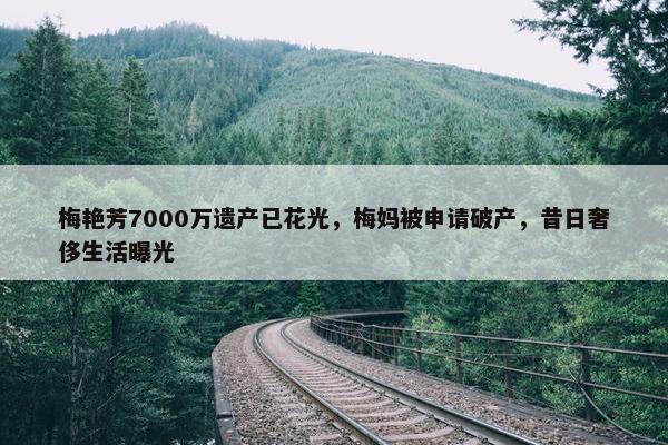 梅艳芳7000万遗产已花光，梅妈被申请破产，昔日奢侈生活曝光