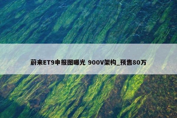 蔚来ET9申报图曝光 900V架构_预售80万