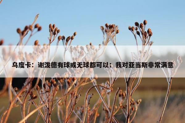 乌度卡：谢泼德有球或无球都可以；我对亚当斯非常满意