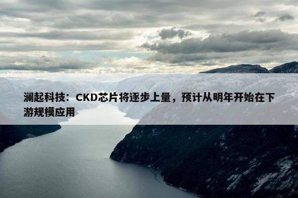 澜起科技：CKD芯片将逐步上量，预计从明年开始在下游规模应用