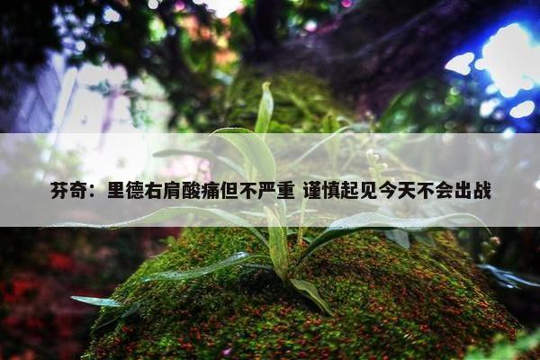 芬奇：里德右肩酸痛但不严重 谨慎起见今天不会出战