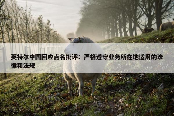 英特尔中国回应点名批评：严格遵守业务所在地适用的法律和法规