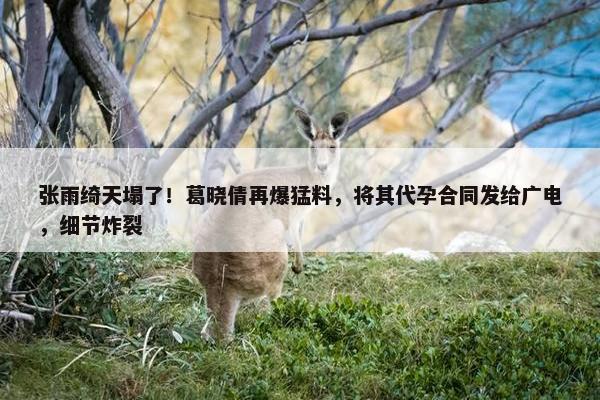 张雨绮天塌了！葛晓倩再爆猛料，将其代孕合同发给广电，细节炸裂