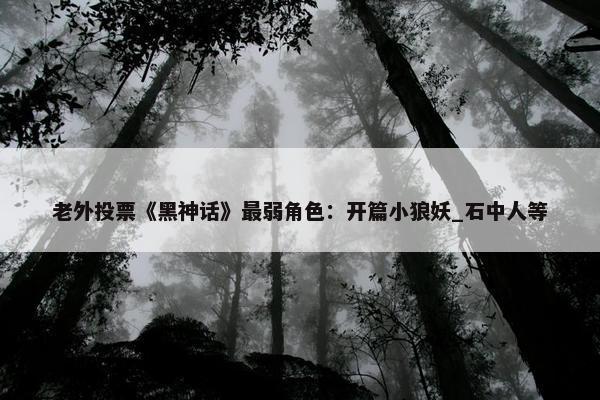 老外投票《黑神话》最弱角色：开篇小狼妖_石中人等