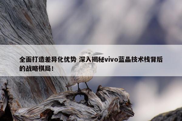 全面打造差异化优势 深入揭秘vivo蓝晶技术栈背后的战略棋局！