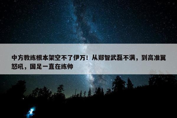 中方教练根本架空不了伊万！从郑智武磊不满，到高准翼怒吼，国足一直在练帅