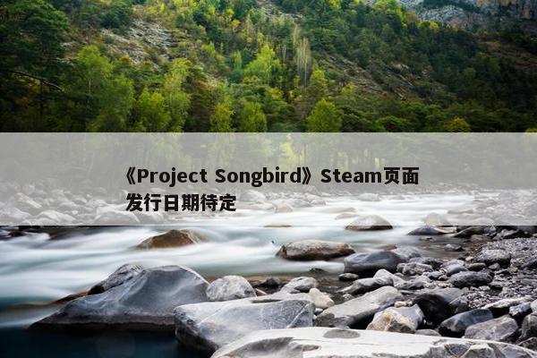 《Project Songbird》Steam页面 发行日期待定