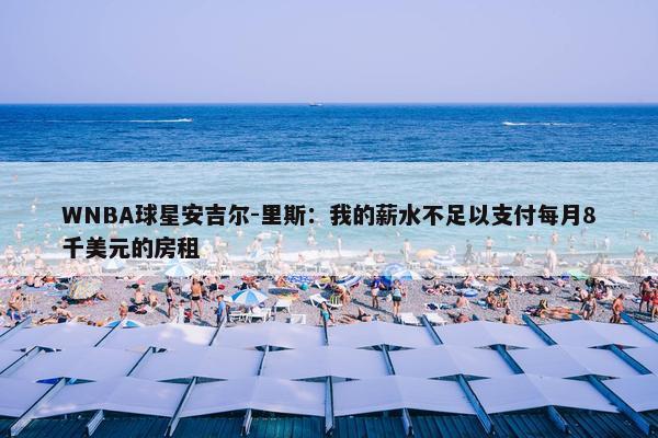 WNBA球星安吉尔-里斯：我的薪水不足以支付每月8千美元的房租