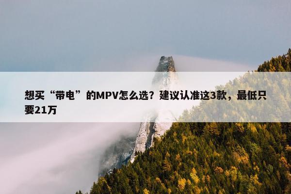 想买“带电”的MPV怎么选？建议认准这3款，最低只要21万