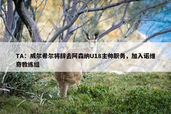 TA：威尔希尔将辞去阿森纳U18主帅职务，加入诺维奇教练组