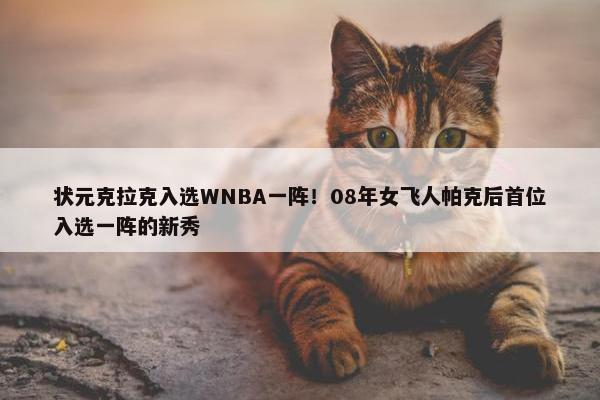 状元克拉克入选WNBA一阵！08年女飞人帕克后首位入选一阵的新秀