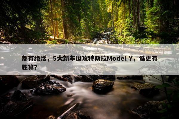 都有绝活，5大新车围攻特斯拉Model Y，谁更有胜算？