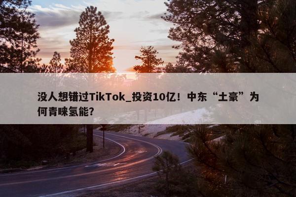 没人想错过TikTok_投资10亿！中东“土豪”为何青睐氢能？