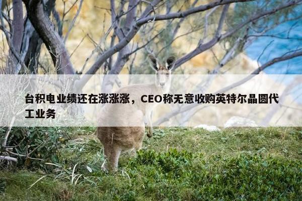 台积电业绩还在涨涨涨，CEO称无意收购英特尔晶圆代工业务