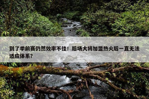 到了季前赛仍然效率不佳！后场大将加盟热火后一直无法适应体系？