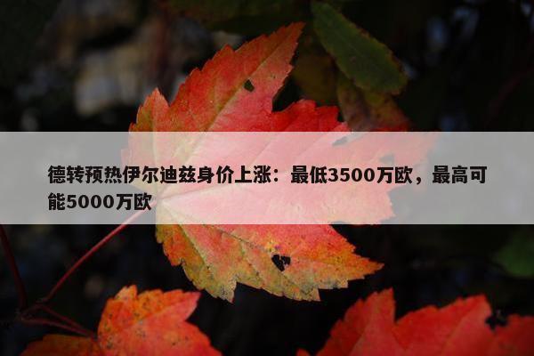 德转预热伊尔迪兹身价上涨：最低3500万欧，最高可能5000万欧