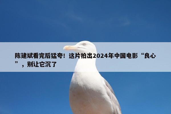 陈建斌看完后猛夸！这片拍出2024年中国电影“良心”，别让它沉了