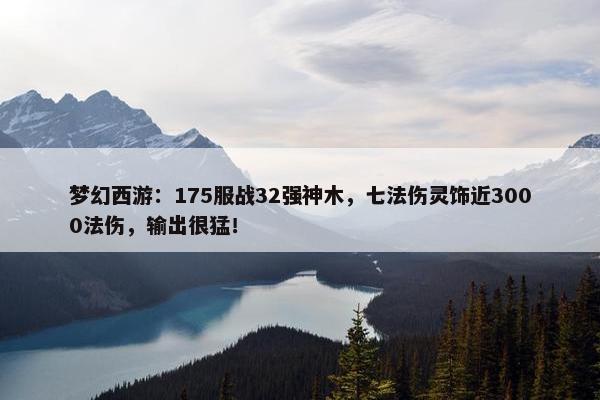 梦幻西游：175服战32强神木，七法伤灵饰近3000法伤，输出很猛！