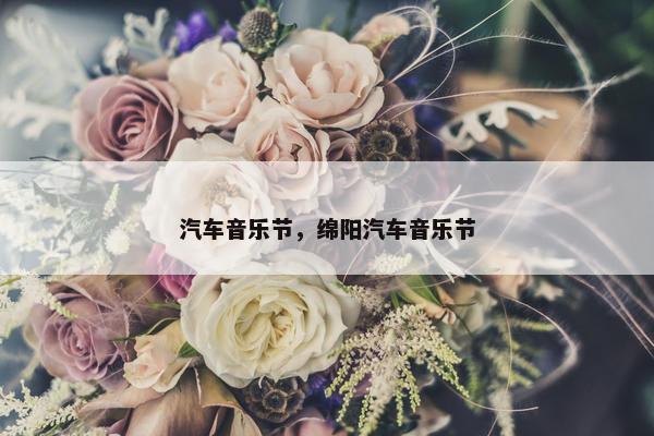 汽车音乐节，绵阳汽车音乐节