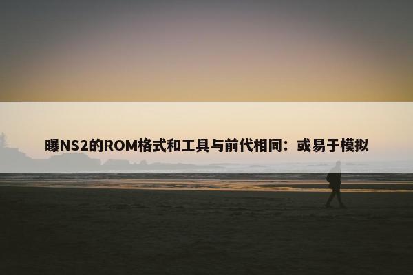 曝NS2的ROM格式和工具与前代相同：或易于模拟