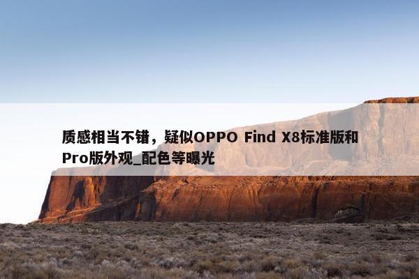 质感相当不错，疑似OPPO Find X8标准版和Pro版外观_配色等曝光