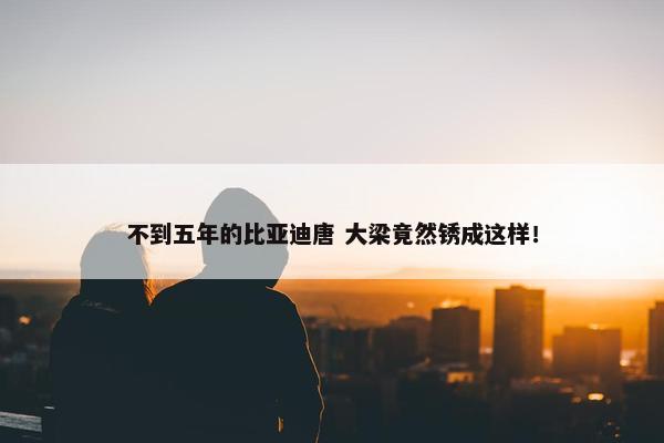 不到五年的比亚迪唐 大梁竟然锈成这样！